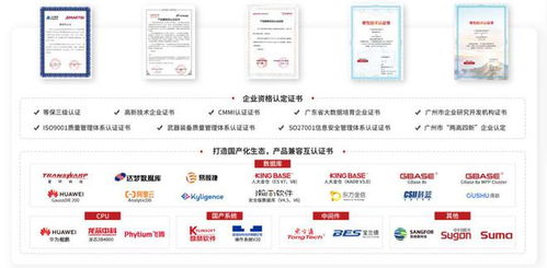 持續(xù)加強國產(chǎn)信創(chuàng)建設(shè) 思邁特軟件與SelectDB完成兼容互認證，夯實基礎(chǔ)軟件服務(wù)